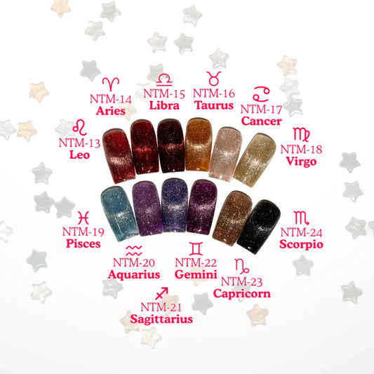 Nail Thoughts - Zodiac Flash Magnetic Gel Collection-1
